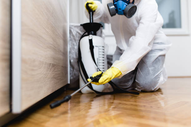 Best Wasp Removal Services  in Bladensburg, MD