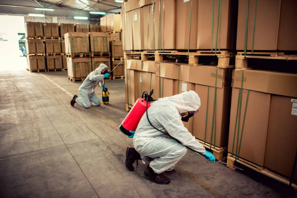 Best Exterminator Services  in Bladensburg, MD