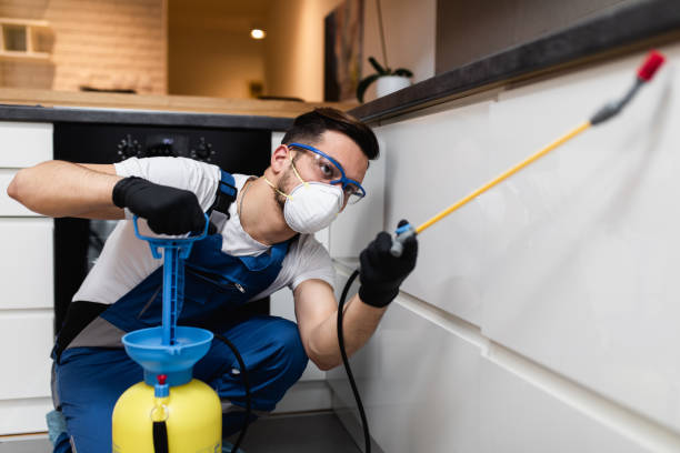 Best Insect Control  in Bladensburg, MD
