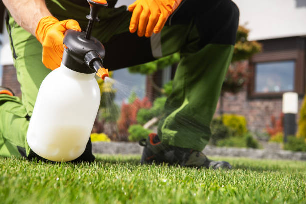 Insect Control in Bladensburg, MD