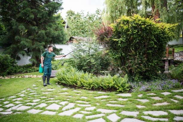 Best Pest Control Near Me  in Bladensburg, MD