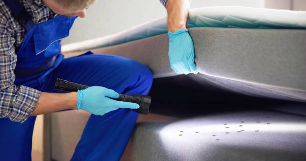 Best Flea Control Services  in Bladensburg, MD