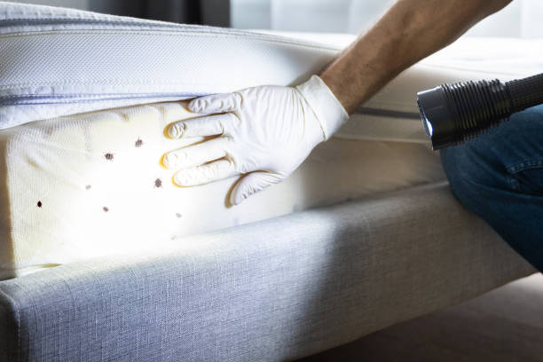 Best Pest Prevention Services  in Bladensburg, MD