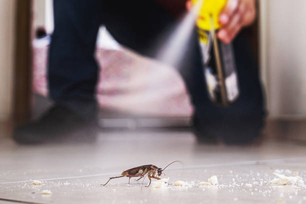Best Termite Control Services  in Bladensburg, MD